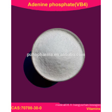 Adénine phosphate en poudre / Vitamine B4 / 70700-30-0 / USP